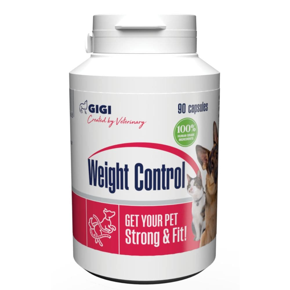 $/_next/image?url=https://admins.bertasnams.lv/storage/media/20314/4751008430868_1_GIGI-Weight-Control-N90.jpg