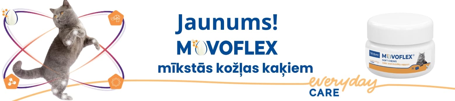 https://admins.bertasnams.lv/storage/media/20935/b-web.jpg