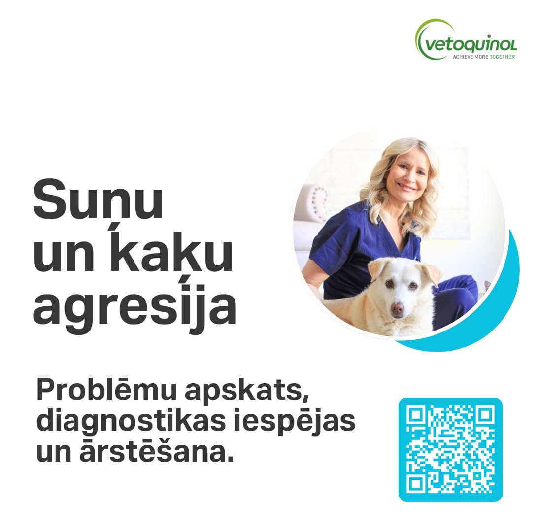 https://admins.bertasnams.lv/storage/media/19980/conversions/18.12_sunu_un_kaku_agresija_web-thumb.jpg