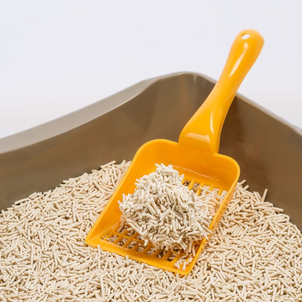 https://admins.bertasnams.lv/storage/media/20145/4779043412120_1_Expertus-Tofu-pakai%C5%A1i-ka%C4%B7u-tualetei-6-L-%282.6-kg%29.jpg