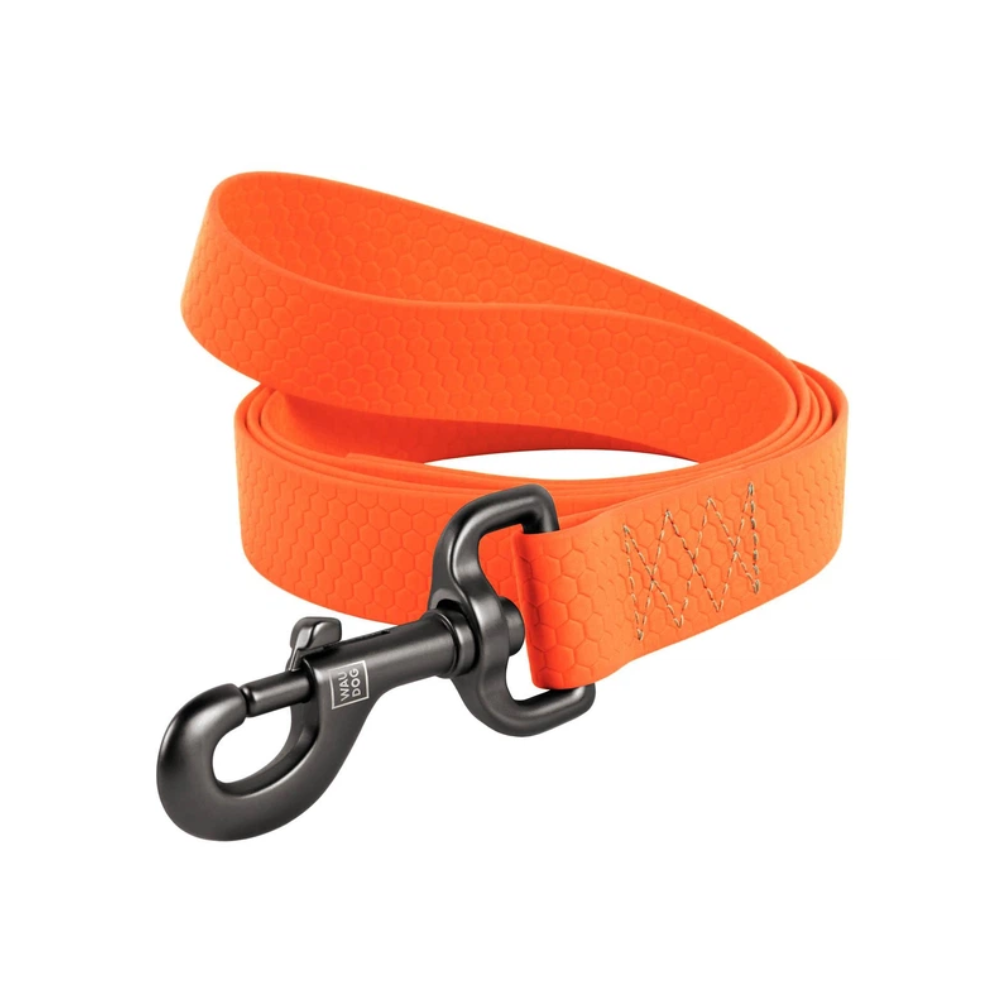https://admins.bertasnams.lv/storage/media/21616/4823089320861_1_WAUDOG-pavada-suņiem-ūdensnec.,-M,-W-20-mm,-L-183-cm-oranža.png