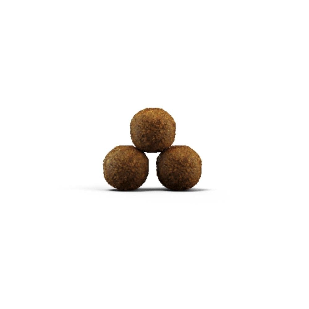 https://admins.bertasnams.lv/storage/media/3259/4032254754992_1_Josera-SP-kak%CC%A7iem-Kitten-grainfree-10-kg.jpg
